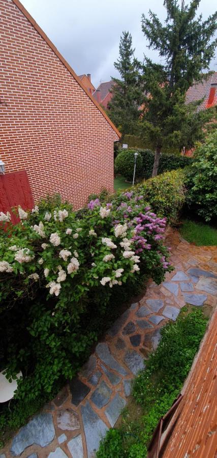 Casa Cercedilla Montana Esquiヴィラ エクステリア 写真